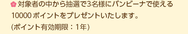 対象者の中から抽選で3名様にバンビーナで使える10,000ポイントをプレゼントいたします。(ポイント有効期限:1年)